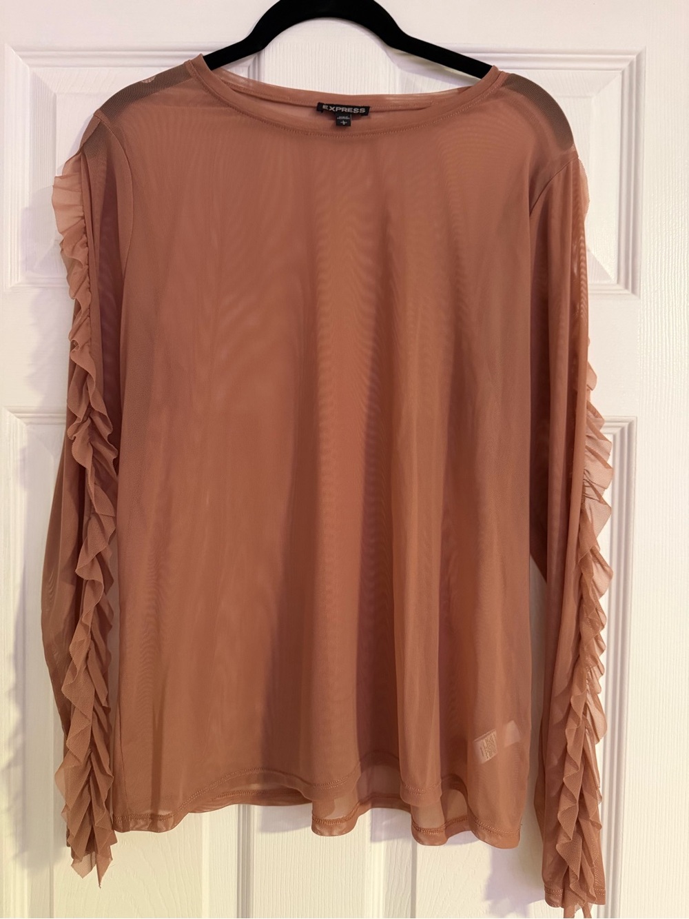 Express Long-Sleeve Sheer Top in Dusty Rose with Ruffle Sleeves